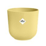 jazz round mini 9cm cream yellow